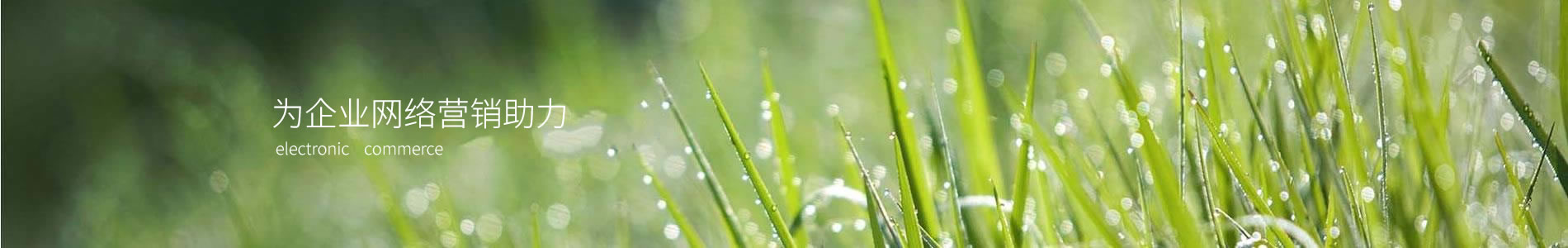 ٹке޹˾